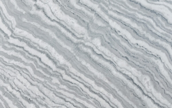 Zebra White 101