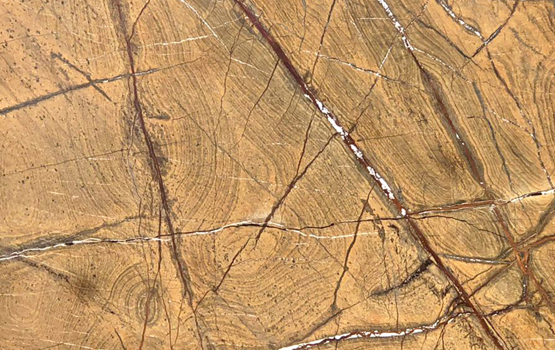 Rain Forest Brown 102